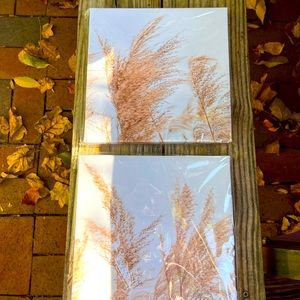 Two Elegant Nature Canvas Paintings